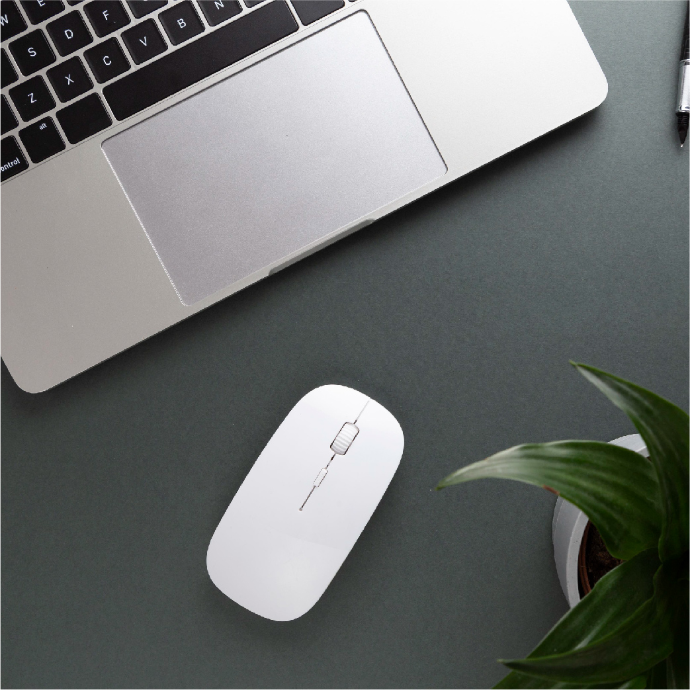 Mouse