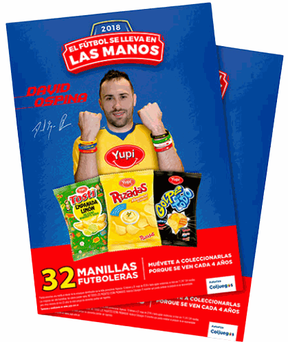Volantes, afiches  y brochure