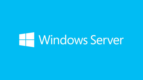Licencias Wunsvrcal 2019 OLP NL GOV DVCCAL - Microsoft®Windows®ServercalL 2019 Government OLP 1License Nolevel DVCCAL (Sin Software assurance)