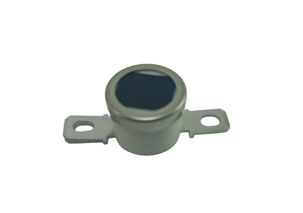 Termostato 193° Ricoh MP 6002/MP 7502/MP 9002