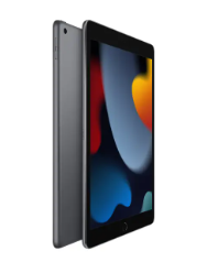 iPad de 10,2' 256GB Chip A13 Bionic - Gris espacial