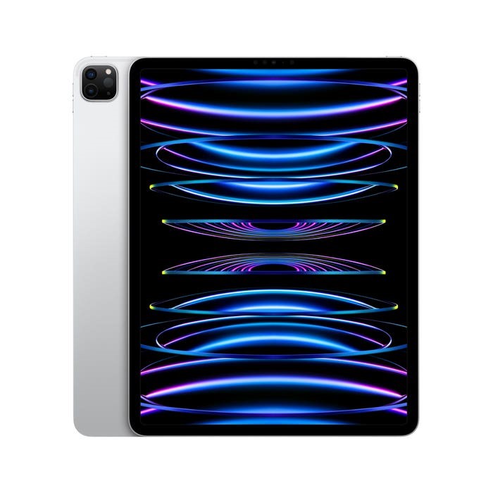 iPad Pro 12,9 pulgadas - 256 GB - Gris espacial NEW