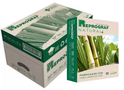 Resma de papel Carta Ecológico 72 GMS
