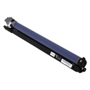 Unidad de Cilindro Negro Lexmark XS955DHE