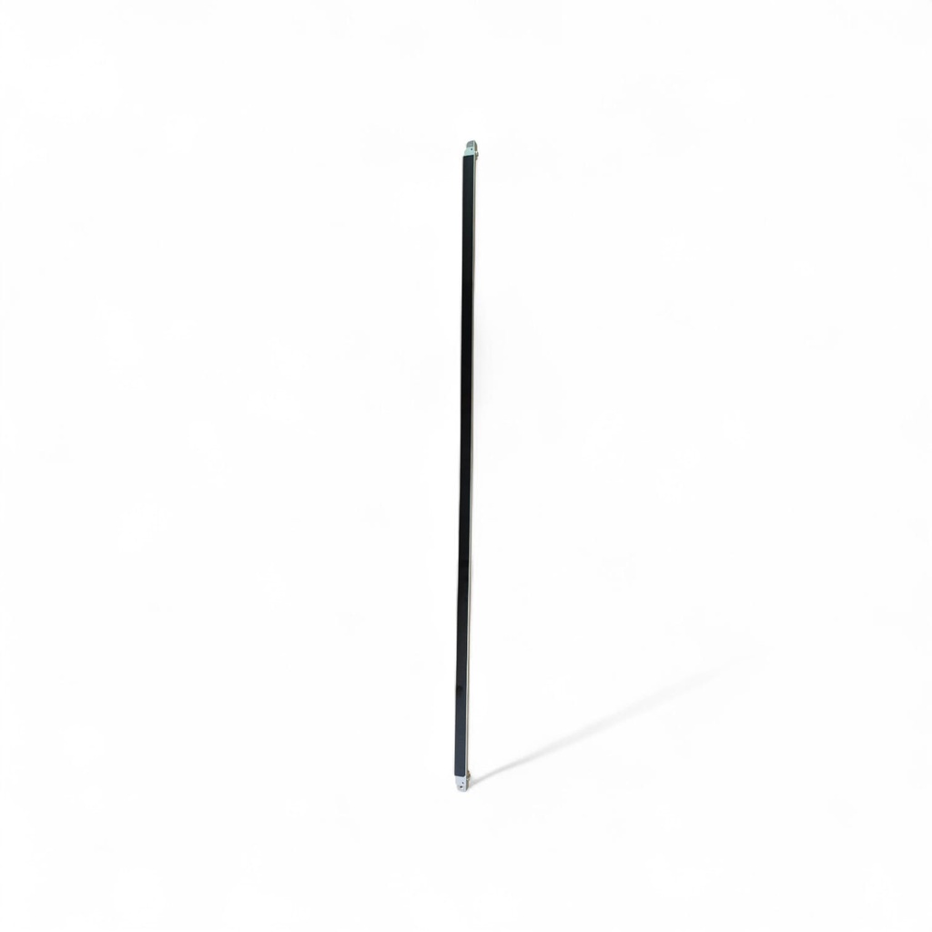 Hoja de Entrada de Transferencia Ricoh MPW2401