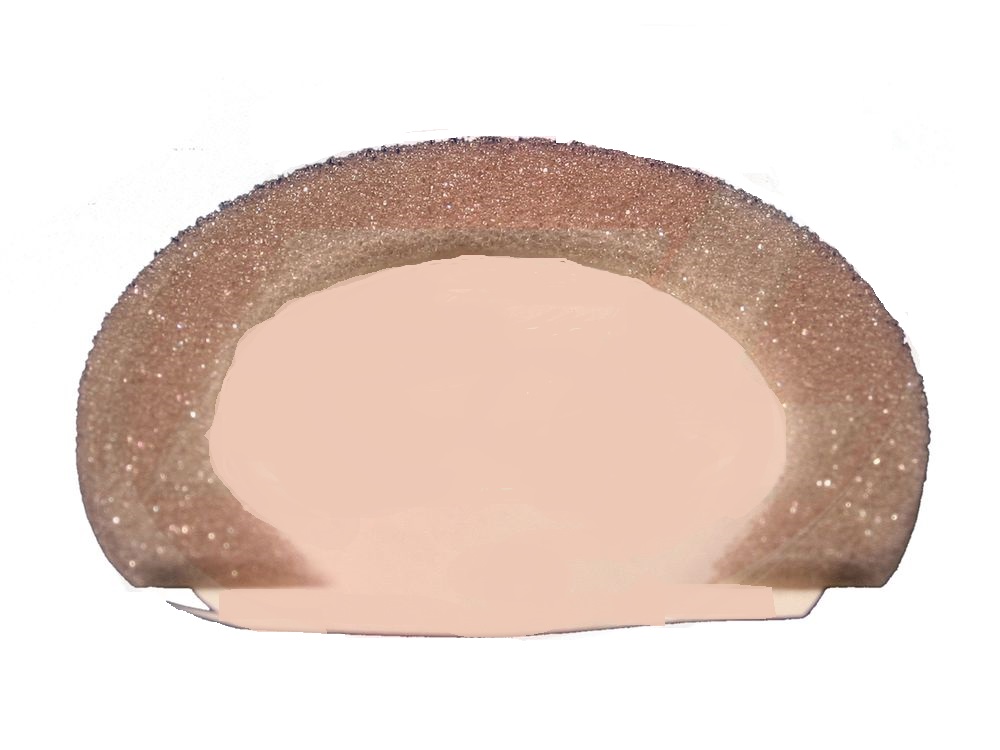 Sello Buje posterior Unidad revelado Ricoh AF700