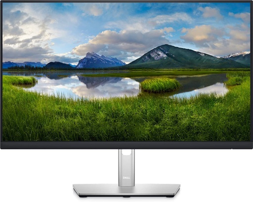[P2422H] Monitor Dell 24" Full HD 1080P