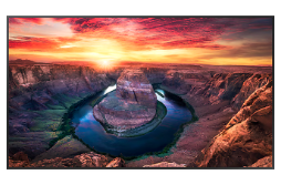 [LH55QMBEBGCXGO] Monitor Industrial QM55B 55"